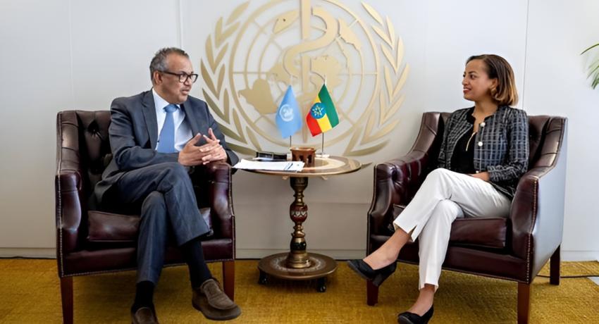 Development Partners