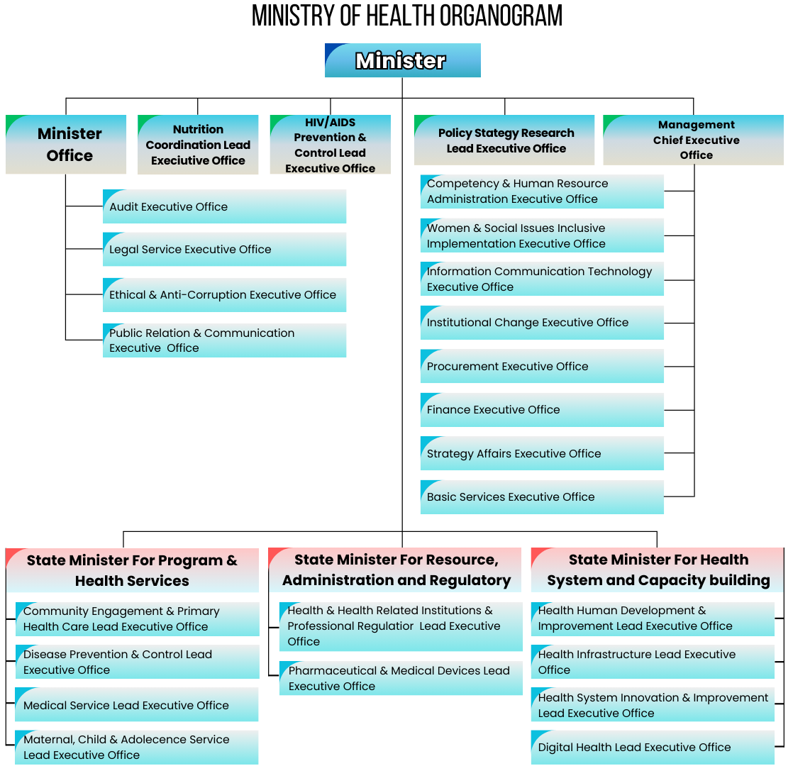 MOH Organizational Structure